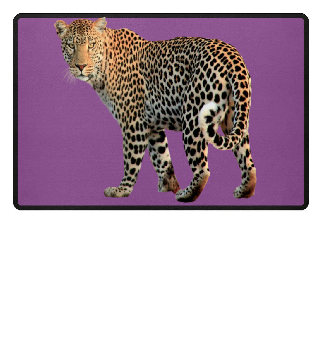 Purple-31