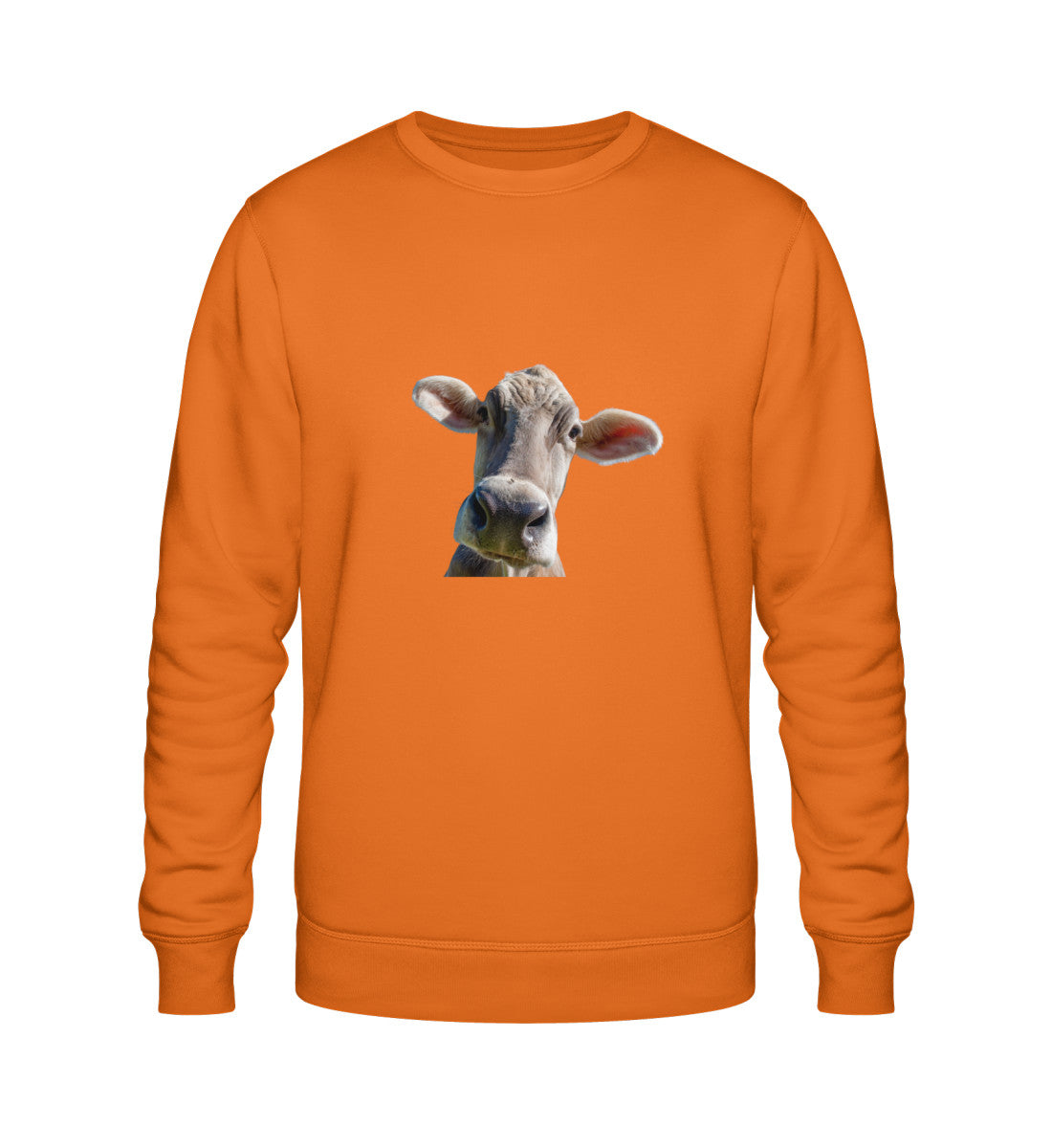 Bright Orange-6882