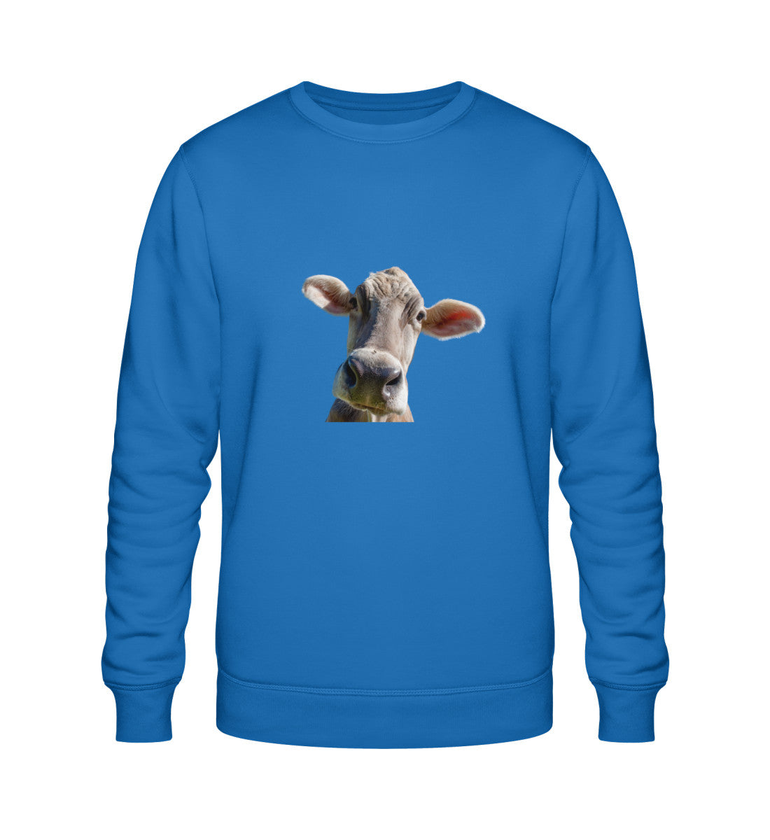Royal Blue-6966
