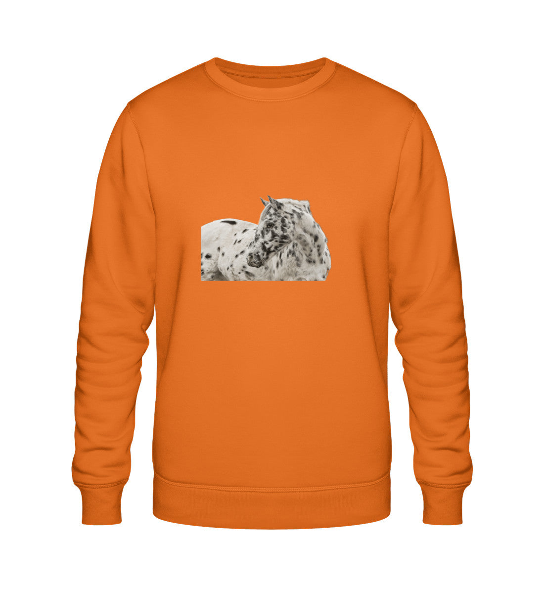 Bright Orange-6882