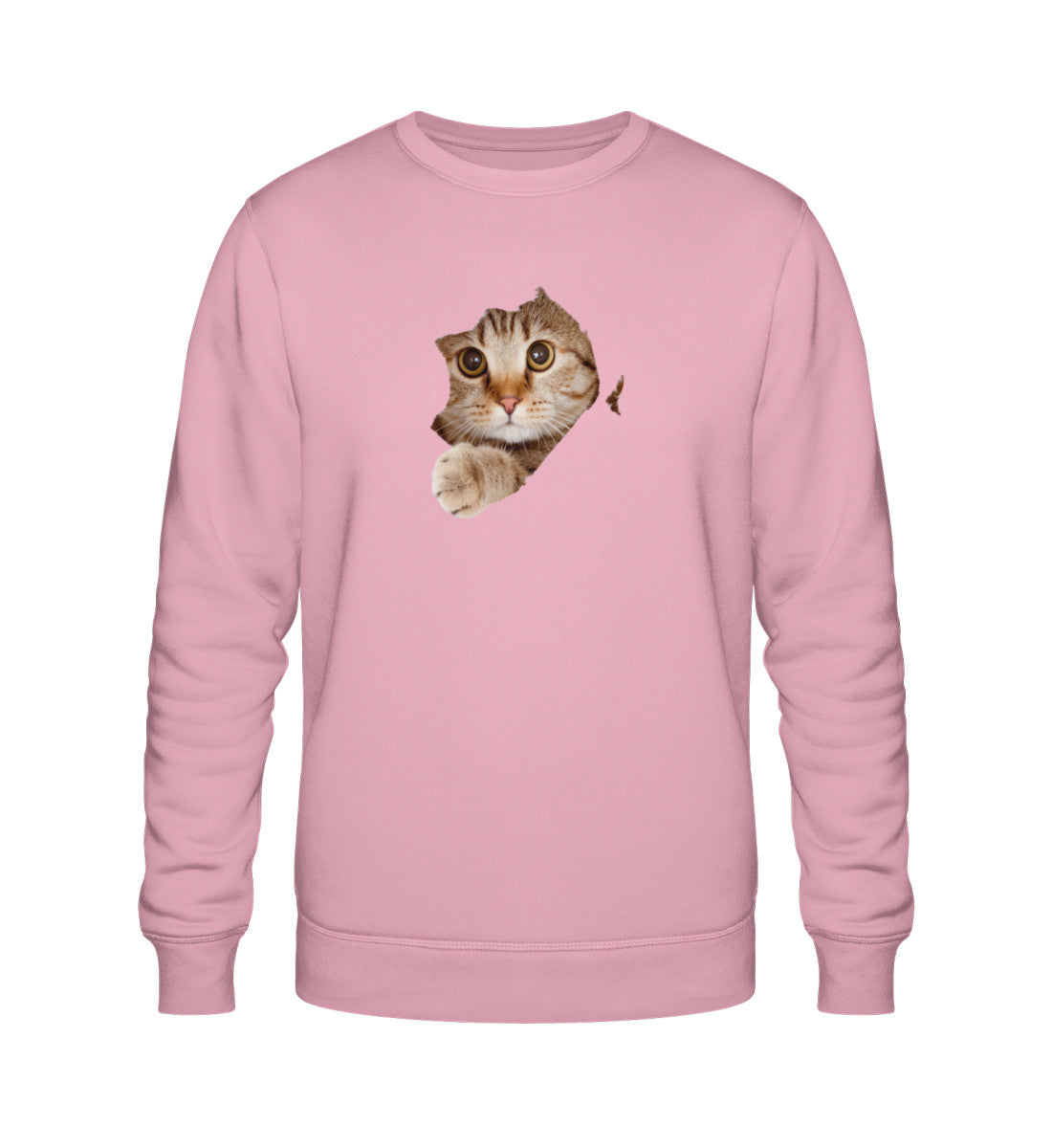 Cotton Pink-6883