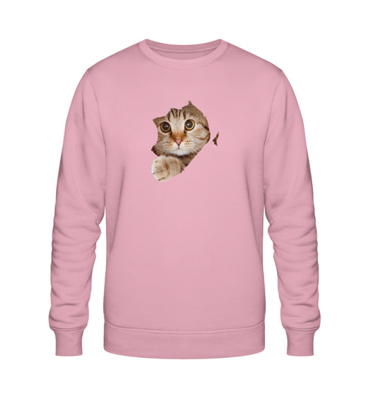 Cotton Pink-6883