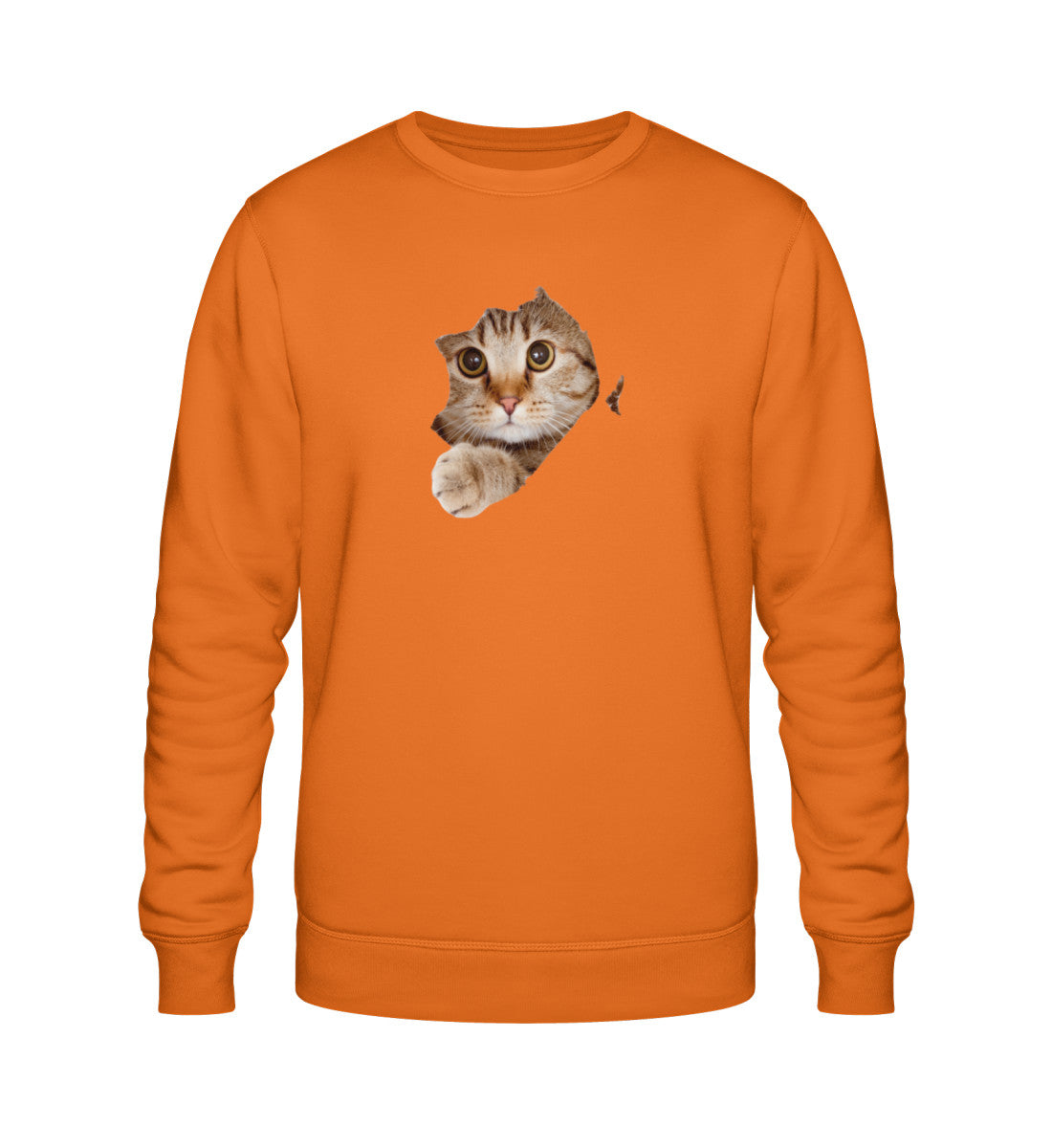Bright Orange-6882