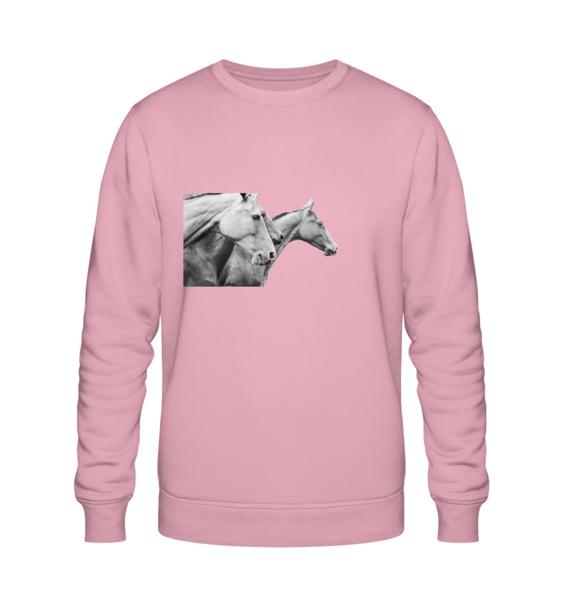Cotton Pink-6883