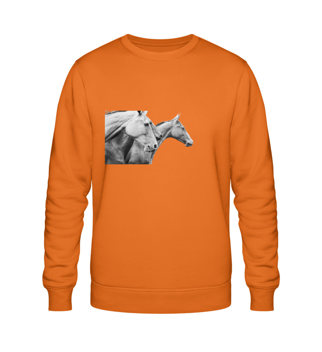 Bright Orange-6882