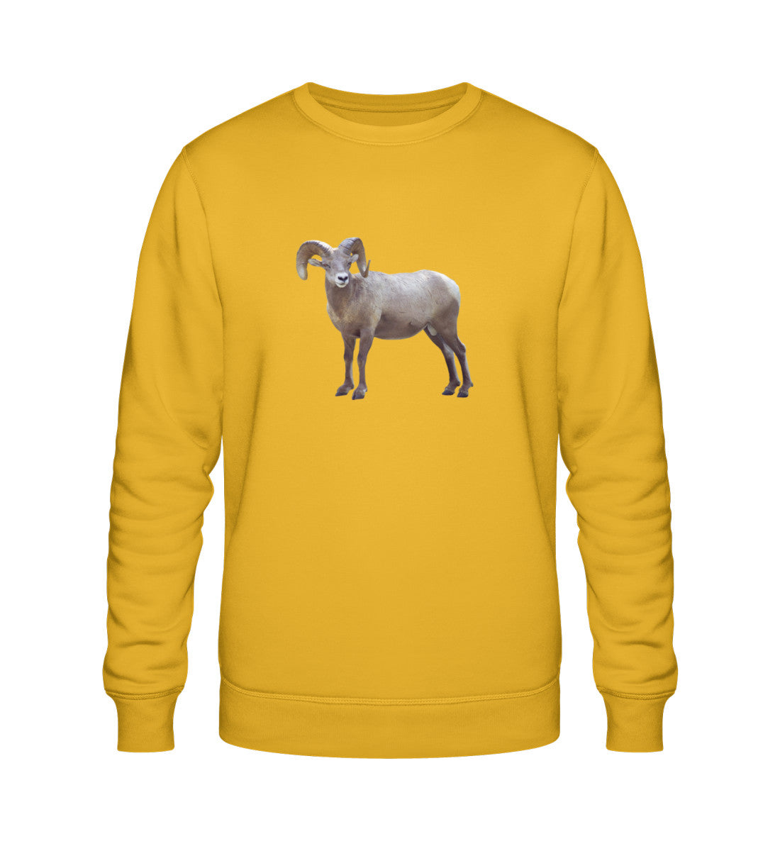 Spectra Yellow-7096