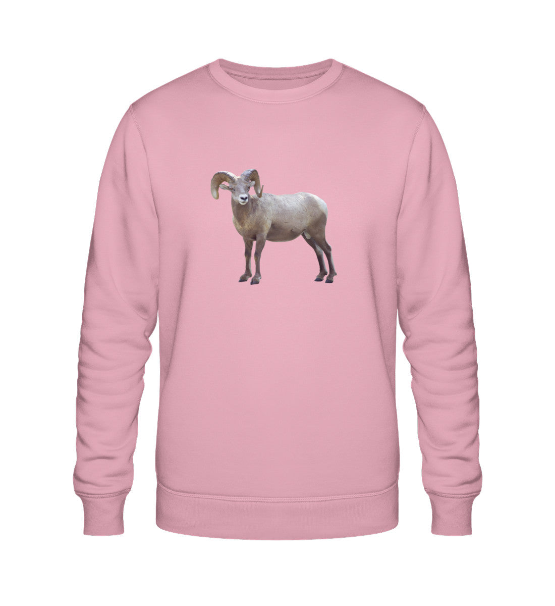 Cotton Pink-6883