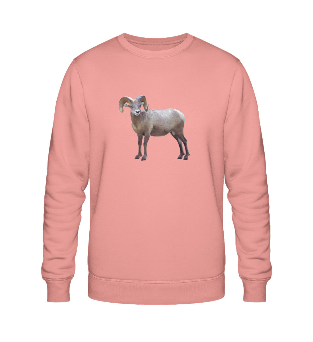 Canyon Pink-7089