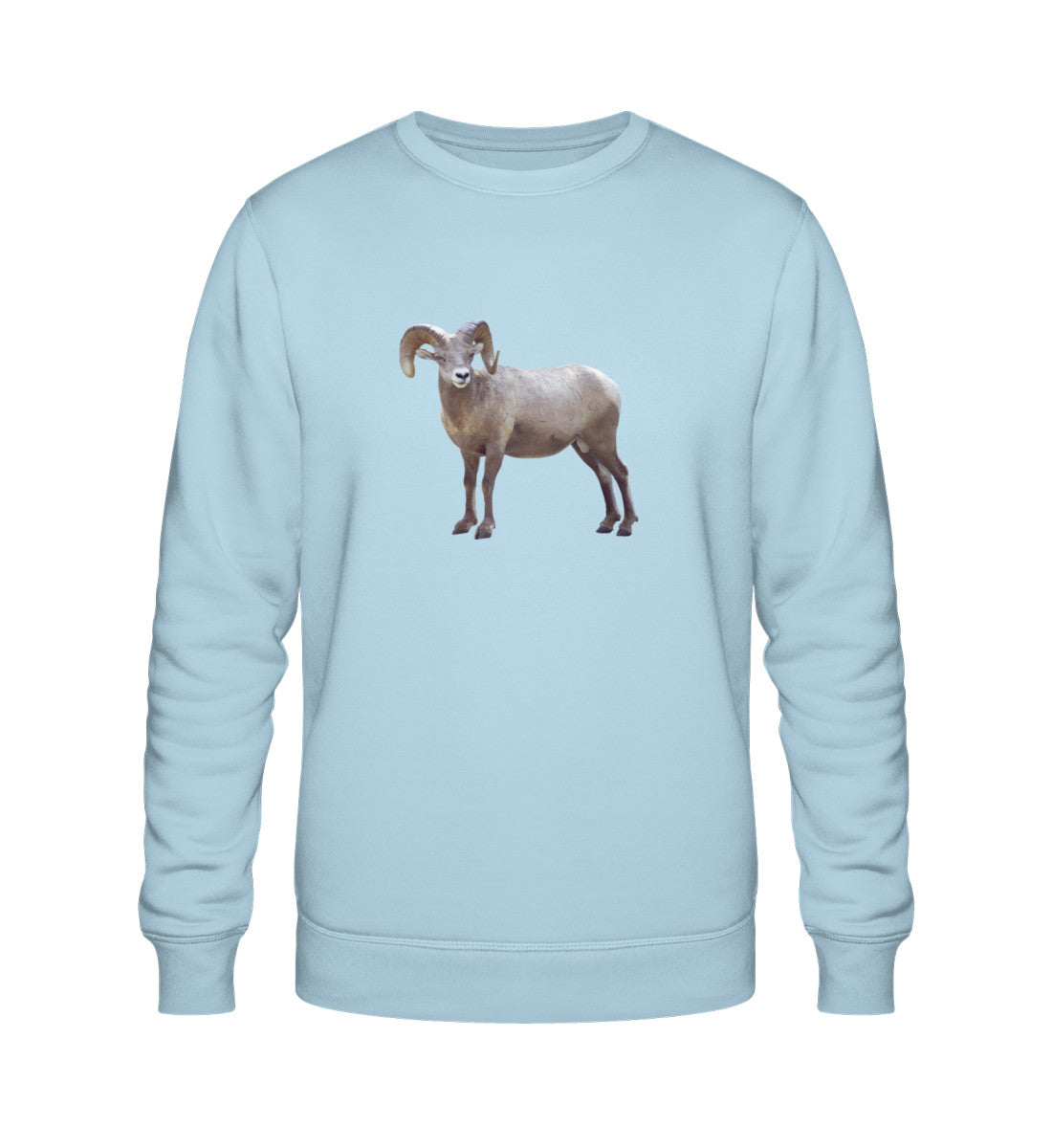 Sky Blue-6967