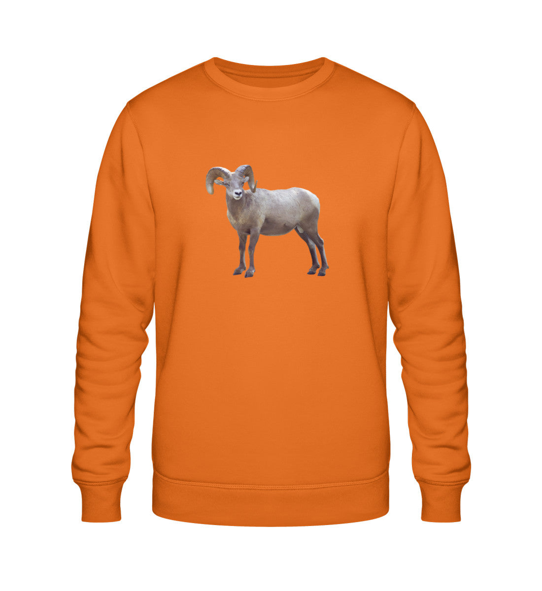 Bright Orange-6882