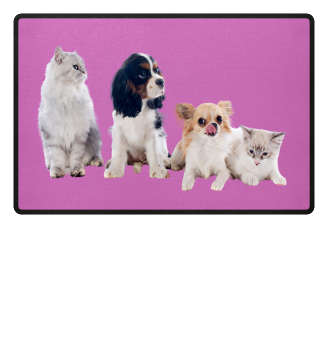 Pink-5759