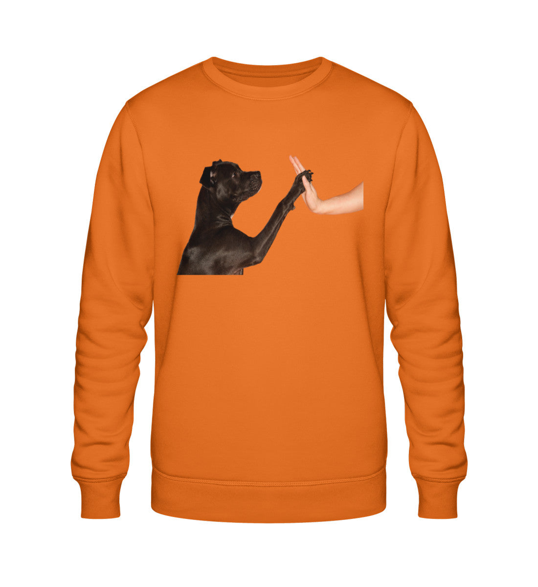 Bright Orange-6882