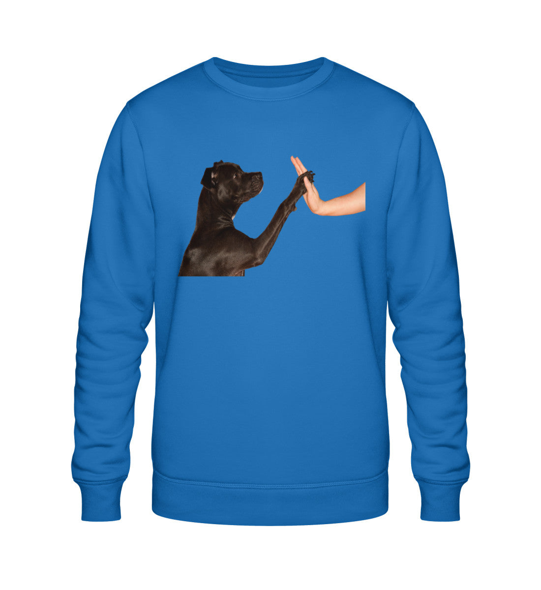 Royal Blue-6966