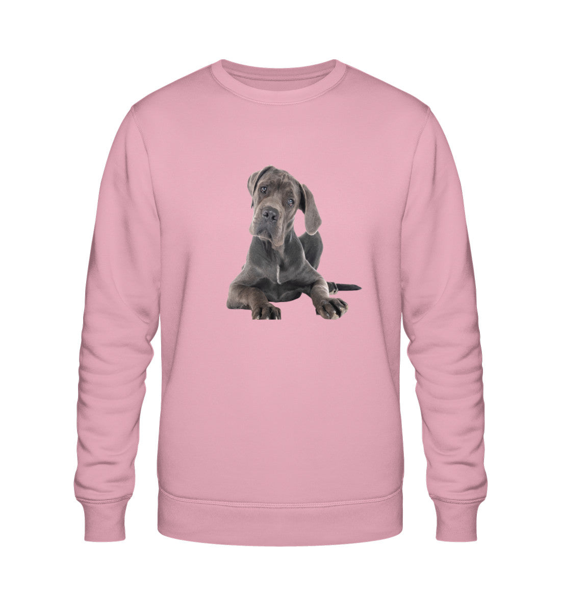 Cotton Pink-6883
