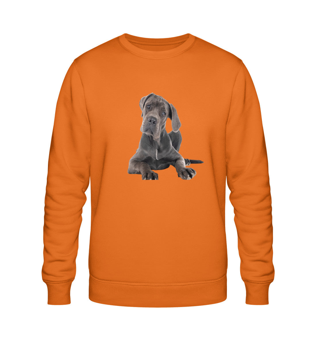 Bright Orange-6882