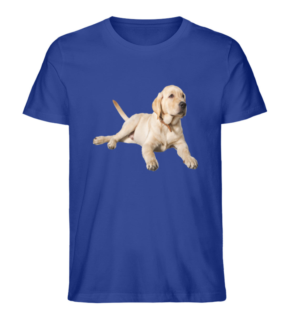 Royal Blue-668