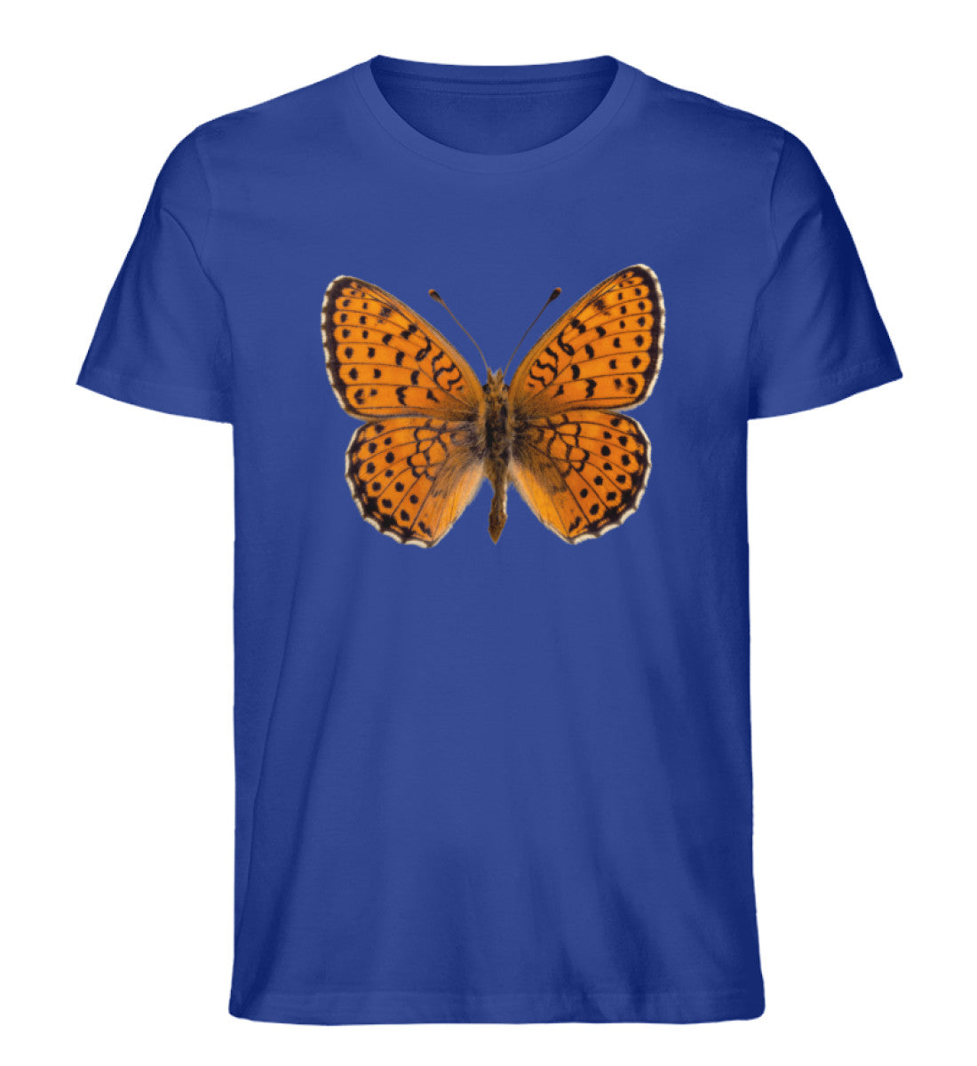 Royal Blue-668