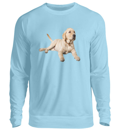 Sky Blue-674