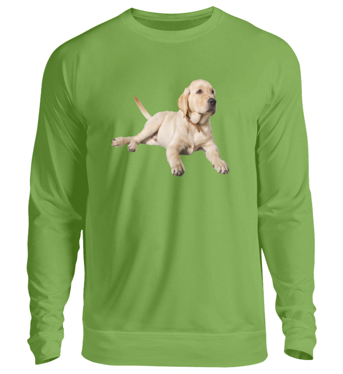 LimeGreen-1646