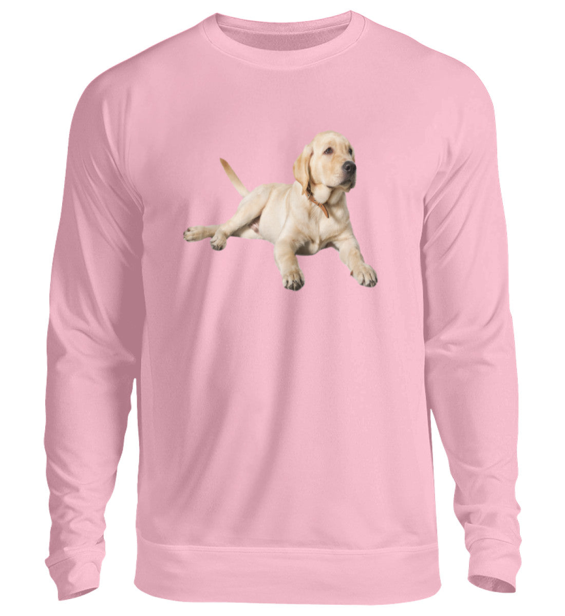 Baby Pink-1490