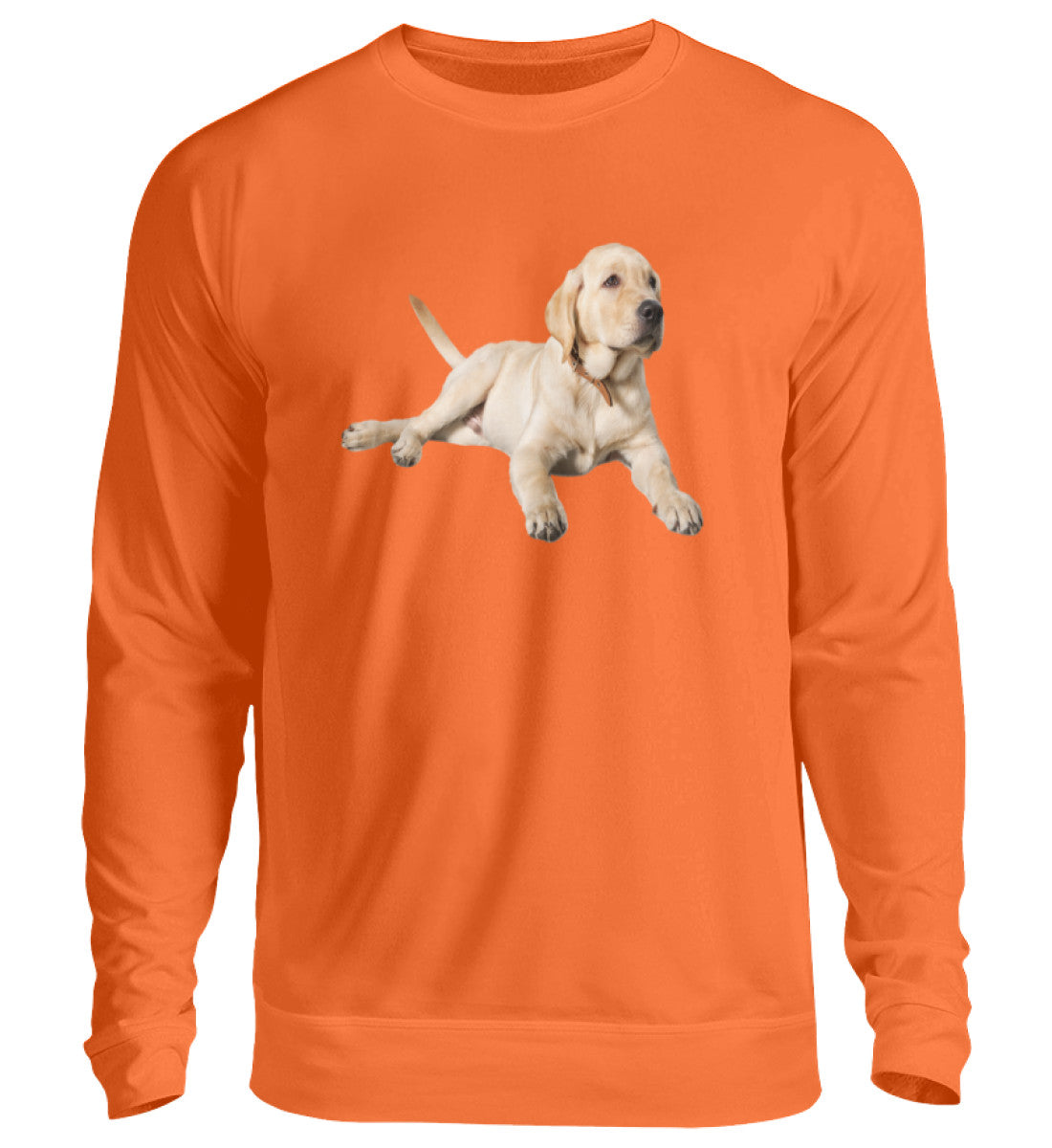 Orange Crush-1692