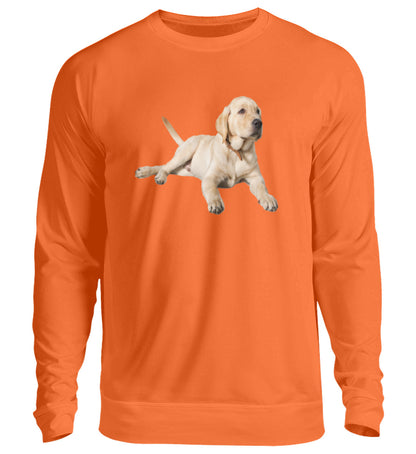 Orange Crush-1692