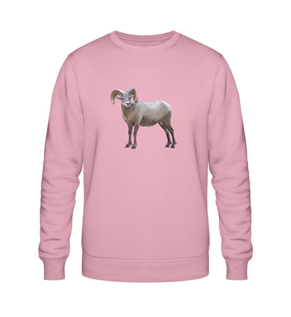 Cotton Pink-6883
