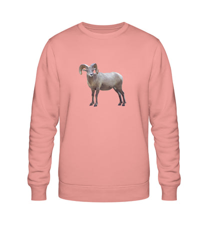 Canyon Pink-7089