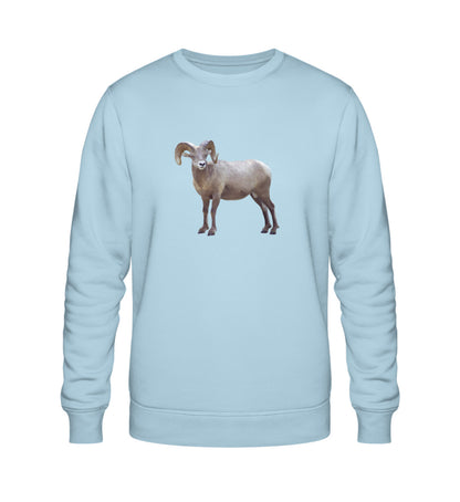 Sky Blue-6967