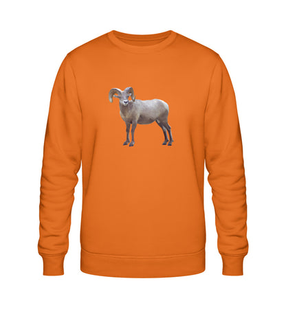 Bright Orange-6882