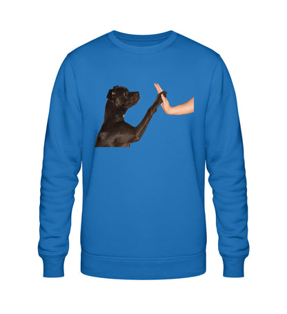 Royal Blue-6966