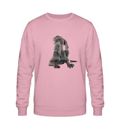 Cotton Pink-6883