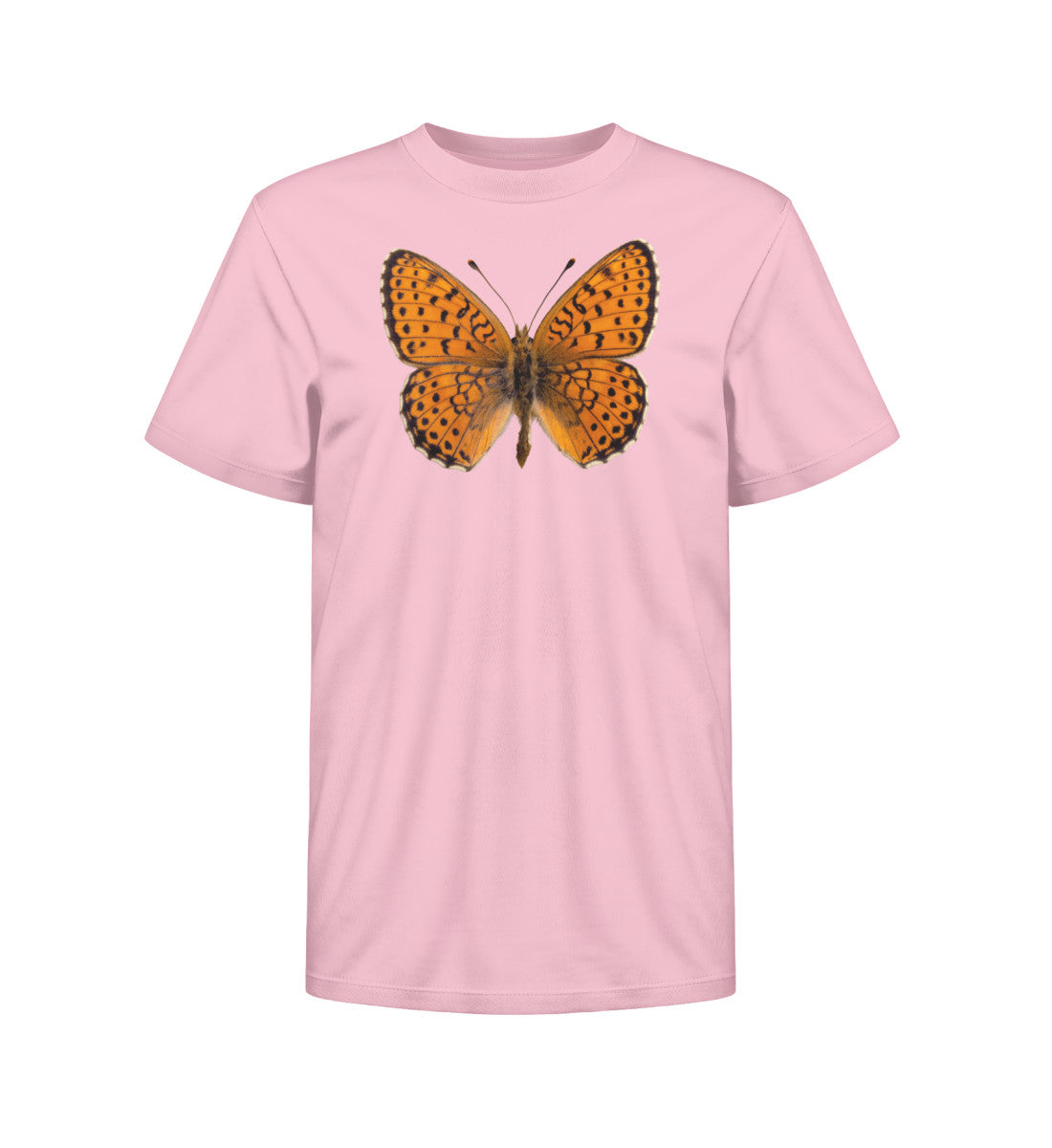 Cotton Pink-6883
